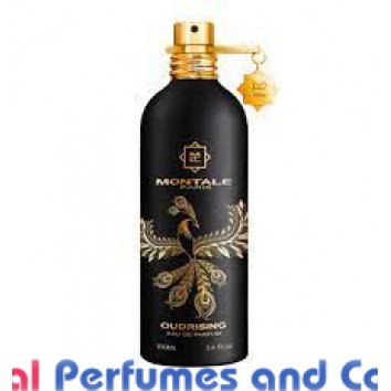 Our impression of Rendez-vous a Paris Al Jazeera for Unisex Premium Perfume Oil (151471)